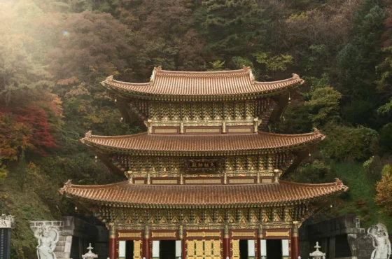 South Korea Essentials — Budget Package