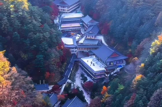 South Korea Signature — Premium Package