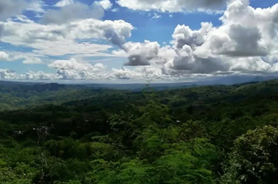 Davao Signature – Premium Package